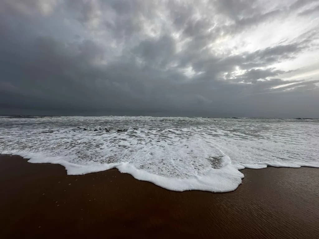 Beach Please